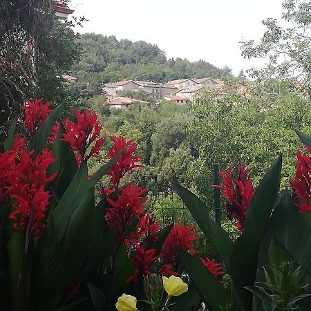 Agrifoglio B&B Con Giardino Aritzo Exteriér fotografie