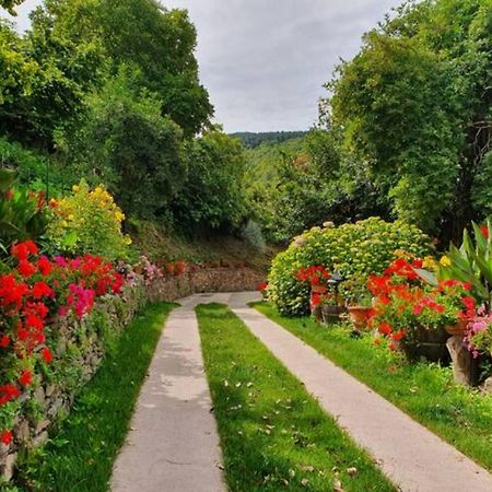 Agrifoglio B&B Con Giardino Aritzo Exteriér fotografie