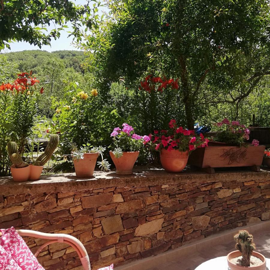 Agrifoglio B&B Con Giardino Aritzo Exteriér fotografie
