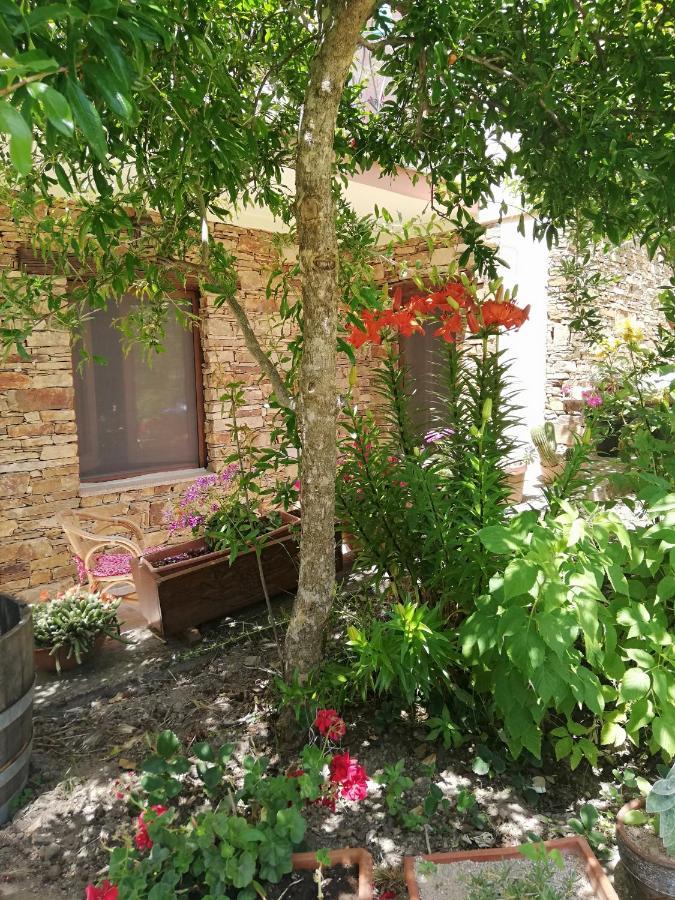 Agrifoglio B&B Con Giardino Aritzo Exteriér fotografie