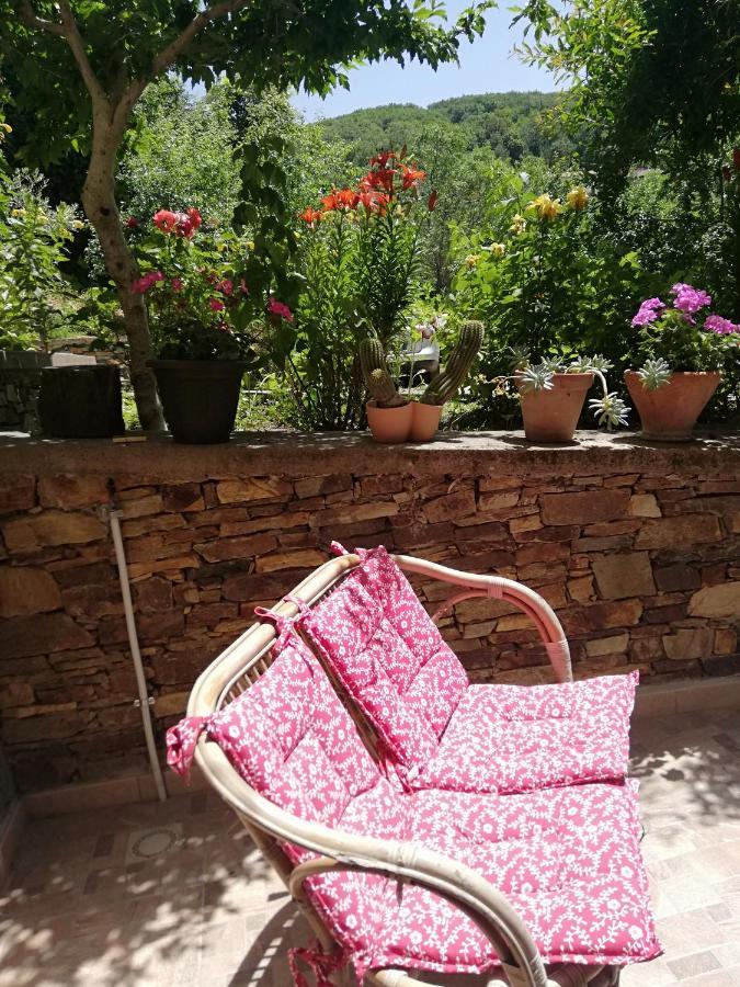 Agrifoglio B&B Con Giardino Aritzo Exteriér fotografie