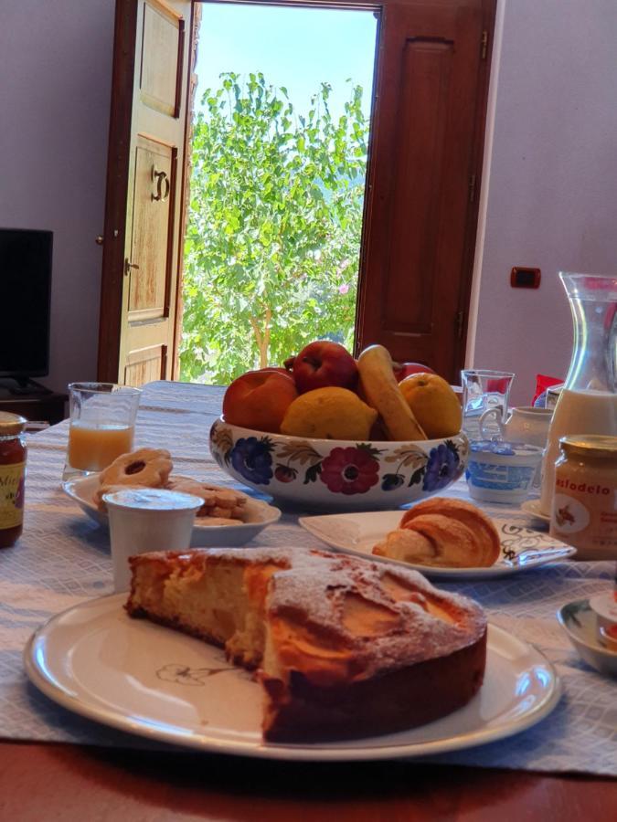 Agrifoglio B&B Con Giardino Aritzo Exteriér fotografie