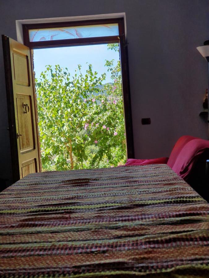 Agrifoglio B&B Con Giardino Aritzo Exteriér fotografie