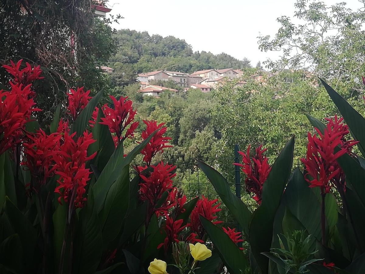 Agrifoglio B&B Con Giardino Aritzo Exteriér fotografie