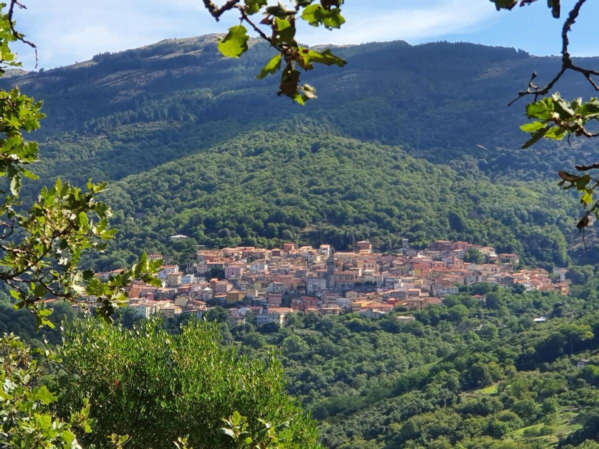 Agrifoglio B&B Con Giardino Aritzo Exteriér fotografie