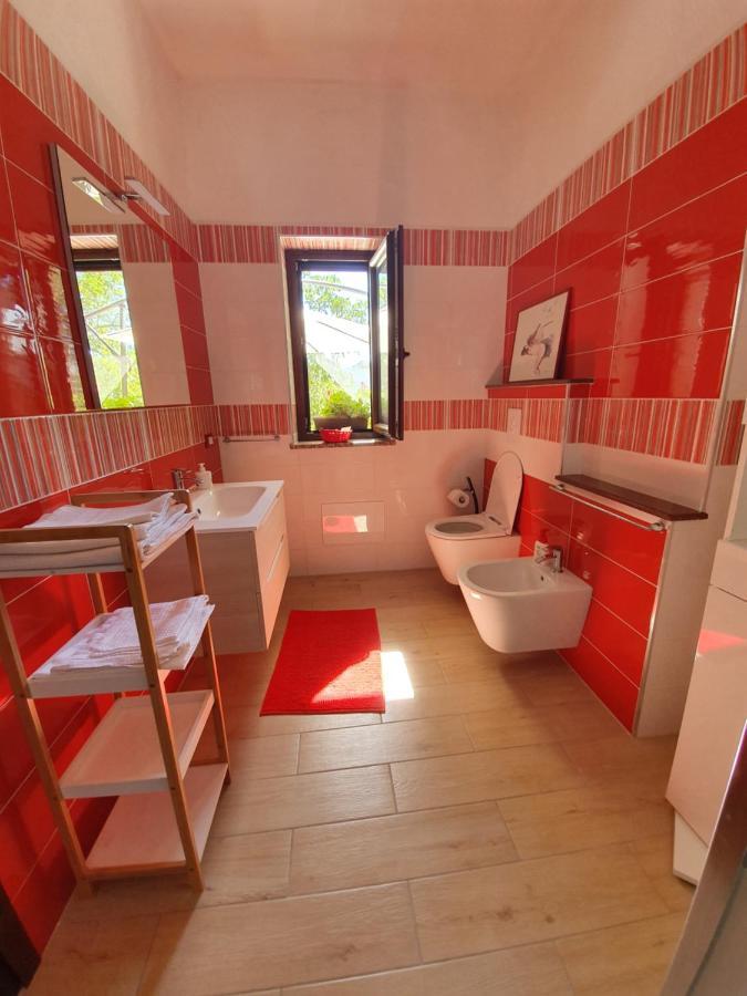 Agrifoglio B&B Con Giardino Aritzo Exteriér fotografie