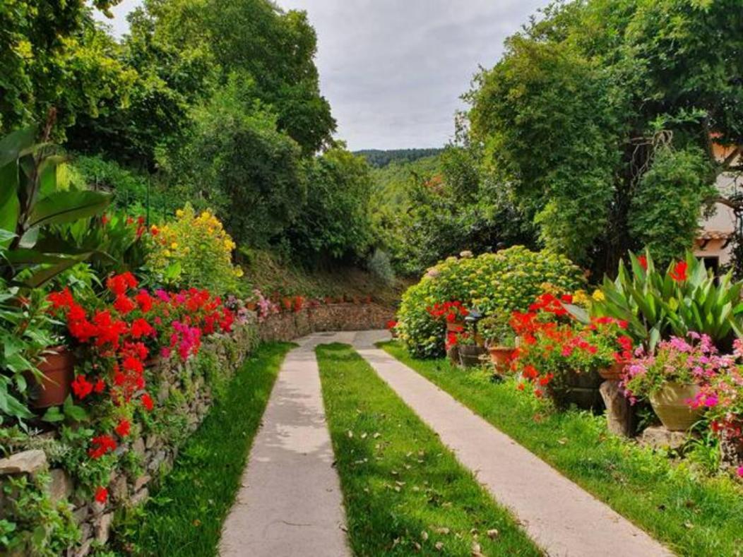 Agrifoglio B&B Con Giardino Aritzo Exteriér fotografie